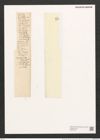 Encyonema turgidum (Greg.) Grun. (de-Toni-Nr.: Genus 34, Species 1490) Zeichnungen Sammlung Grunow (NHMW-BOT-W0370192)